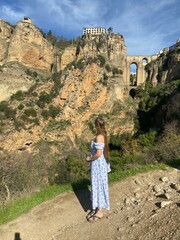 Naklejka premium Elegant woman in classy dress walking through wine fields, fashion model in stylish dress posing in vineyard with sky backdrop, beautiful lady in elegant gown surrounded by lush wine fields, glamorous
