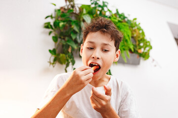 Delicious snack, fast food, junk food. A little happy and cheerful boy is eating French fries while...