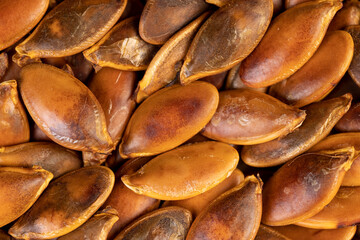 overcooked or burnt pumpkin seeds on the table