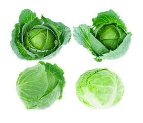 Fresh cabbage on white background