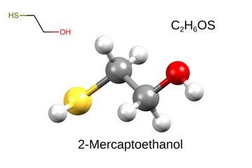 Structure of 2-mercaptoethanol. Chemical formula, structural formula and 3D ball-and-stick model