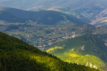 Giresun Province, Kulakkaya highland lush nature and houses and animals in the highland