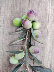 Natural fresh green olives on a branch with leaves on a wooden background