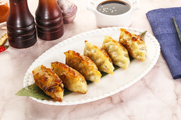 Fried Japanese stuffed dumplings - Gyoza