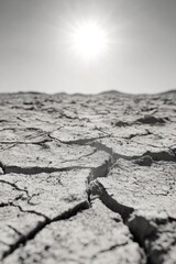 Obraz premium The ground appears cracked and dry, indicating a drought or desert environment.