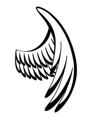 Wings sketch. Stylized birds wings. Hand drawn contoured stiker wing in open position. Vector design elements in coloring style