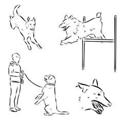 Scenes of dog training with cartoon characters of man and his pet learning various commands