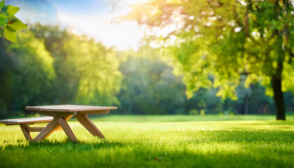 Obraz premium wooden bench in park