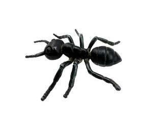 photography of a toy plastic ant on white background.