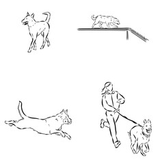 Scenes of dog training with cartoon characters of man and his pet learning various commands
