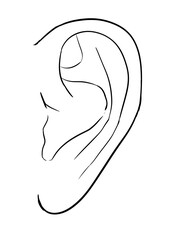 ear digital drawing illustration isolated