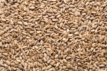 Heap of dried and raw sunflower seeds - Helianthus annuus.