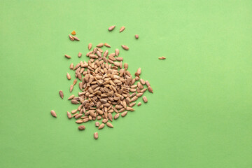 Helianthus annuus - Shelled and dried sunflower seeds.