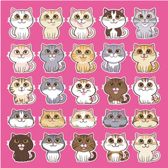 stickers with funny and cute cats. Vector collection sticker of funny cats on pink isolated background