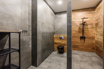 interior apartment room bathroom, sink, decorative elements, toilet. WC, sanitary unit, wash room