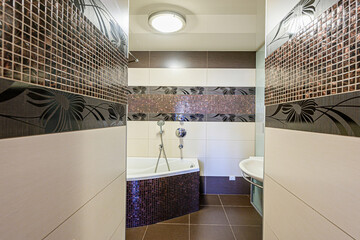 interior apartment room bathroom, sink, decorative elements, toilet. WC, sanitary unit, wash room
