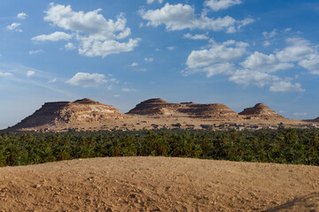 landscape in the desert