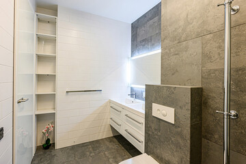 interior apartment room bathroom, sink, decorative elements, toilet. WC, sanitary unit, wash room
