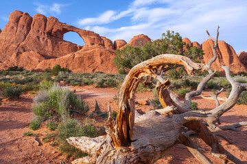 Arches National Park, Utah, USA