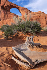 Arches National Park, Utah, USA
