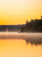 A tranquil lake at dawn with mist gently rising from the water, framed by lush trees and illuminated by soft golden light. A serene and ethereal setting. Generative AI