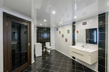 interior apartment room bathroom, sink, decorative elements, toilet. WC, sanitary unit, wash room