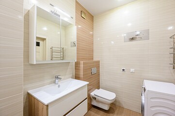 interior apartment room bathroom, sink, decorative elements, toilet. WC, sanitary unit, wash room