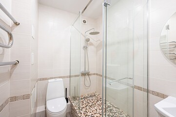 interior apartment room bathroom, sink, decorative elements, toilet. WC, sanitary unit, wash room