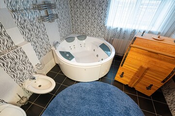 interior apartment room bathroom, sink, decorative elements, toilet. WC, sanitary unit, wash room