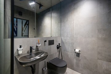 interior apartment room bathroom, sink, decorative elements, toilet. WC, sanitary unit, wash room