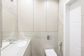 interior apartment room bathroom, sink, decorative elements, toilet. WC, sanitary unit, wash room