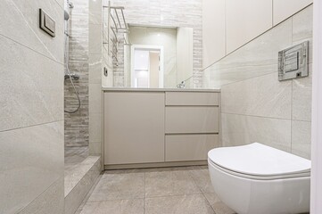 interior apartment room bathroom, sink, decorative elements, toilet. WC, sanitary unit, wash room
