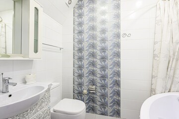 interior apartment room bathroom, sink, decorative elements, toilet. WC, sanitary unit, wash room