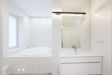 interior apartment room bathroom, sink, decorative elements, toilet. WC, sanitary unit, wash room