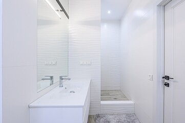 interior apartment room bathroom, sink, decorative elements, toilet. WC, sanitary unit, wash room