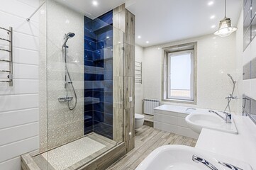 interior apartment room bathroom, sink, decorative elements, toilet. WC, sanitary unit, wash room
