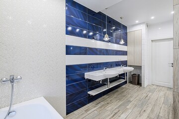 interior apartment room bathroom, sink, decorative elements, toilet. WC, sanitary unit, wash room