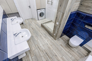 interior apartment room bathroom, sink, decorative elements, toilet. WC, sanitary unit, wash room