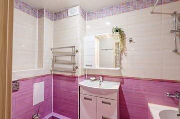 interior apartment room bathroom, sink, decorative elements, toilet. WC, sanitary unit, wash room