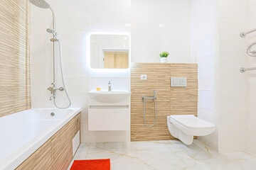 interior apartment room bathroom, sink, decorative elements, toilet. WC, sanitary unit, wash room