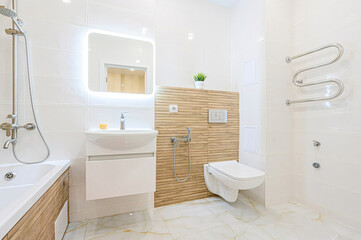 interior apartment room bathroom, sink, decorative elements, toilet. WC, sanitary unit, wash room