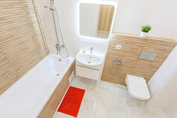 interior apartment room bathroom, sink, decorative elements, toilet. WC, sanitary unit, wash room