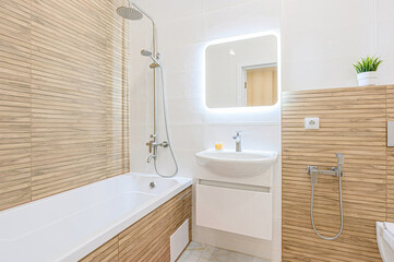 interior apartment room bathroom, sink, decorative elements, toilet. WC, sanitary unit, wash room