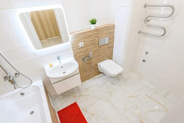 interior apartment room bathroom, sink, decorative elements, toilet. WC, sanitary unit, wash room