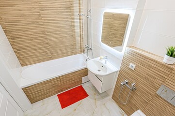 interior apartment room bathroom, sink, decorative elements, toilet. WC, sanitary unit, wash room