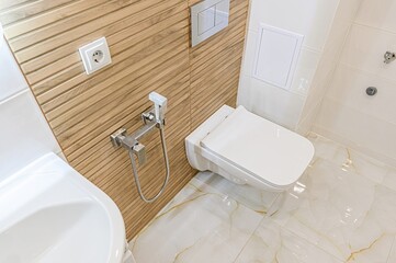 interior apartment room bathroom, sink, decorative elements, toilet. WC, sanitary unit, wash room