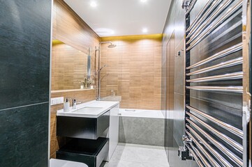 interior apartment room bathroom, sink, decorative elements, toilet. WC, sanitary unit, wash room