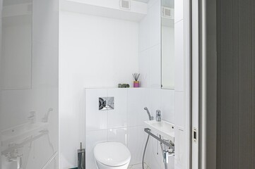 interior apartment room bathroom, sink, decorative elements, toilet. WC, sanitary unit, wash room