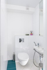 interior apartment room bathroom, sink, decorative elements, toilet. WC, sanitary unit, wash room