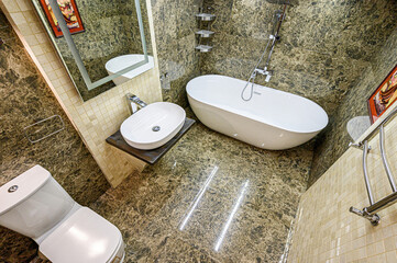 interior apartment room bathroom, sink, decorative elements, toilet. WC, sanitary unit, wash room